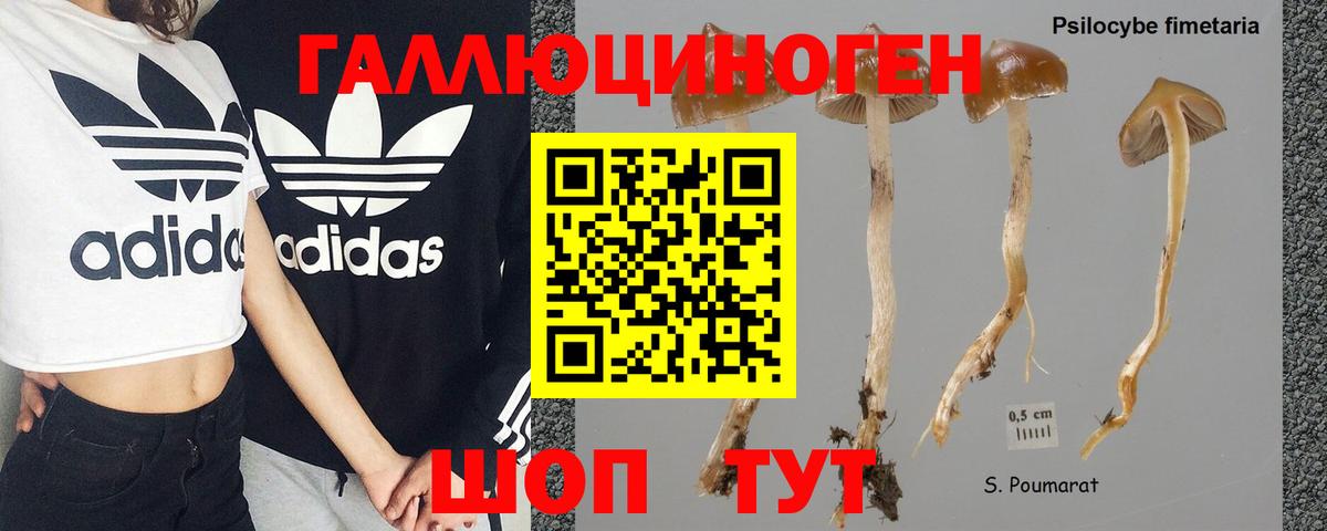 Псилоцибиновые грибы мухоморы Кызыл
