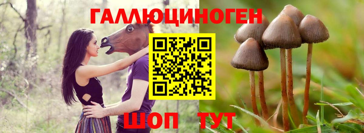 Кызыл  Псилоцибиновые грибы мухоморы  Псилоцибиновые грибы мухоморы  Вход с VPN 
